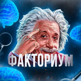 Логотип @factorium6 - Факториум 🧠