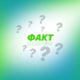 Логотип @factoriumfast - Удивительные факты 💡