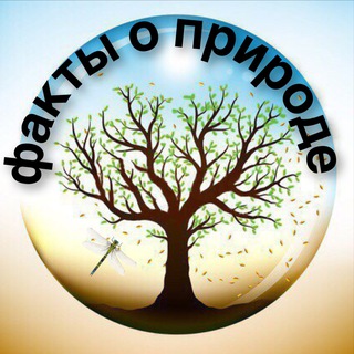 Логотип @facts_about_nature - Природа и факты