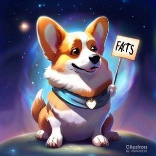 Логотип @factshistiry - Архив фактов|ГАВ