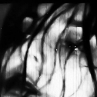 Логотип @fadedentropie - Faded®