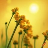 Логотип @faith_mustard_seed - Христианский Клуб "Горчичное Зерно": Растем в вере