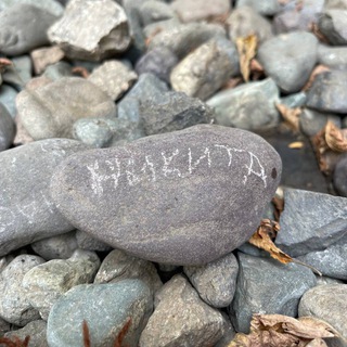 Логотип @fake77iceberg - ICEBERG в деле