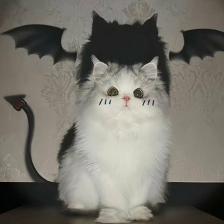 Логотип @fakekotofey - Это была не Фима