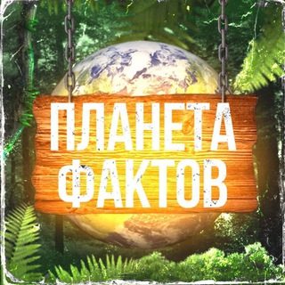 Логотип @fakt1ka - Планета Фактов