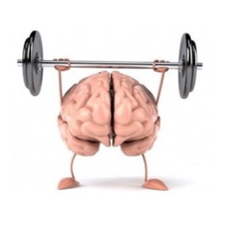 Логотип @fakti_gg - Краткие факты