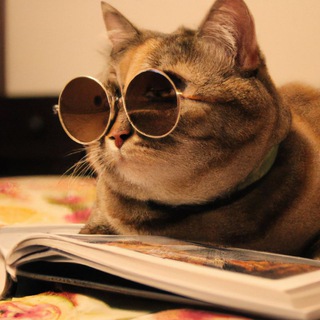 Логотип @faktshoc - Интересно