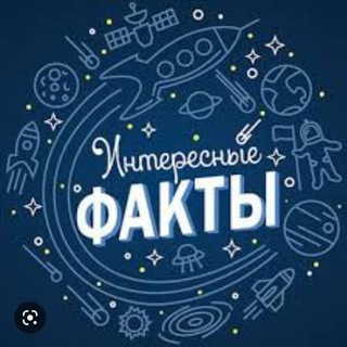 Логотип @faktstop - Интересные факты