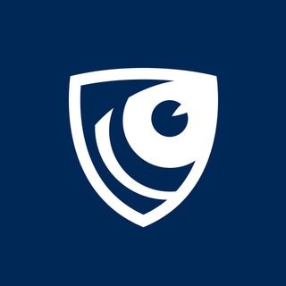 Логотип @falcongazedlp - Falcongaze SecureTower