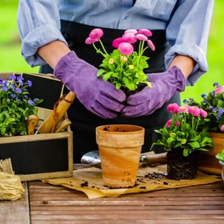 Логотип @familyflower1 - Содружество цветоводов🪴