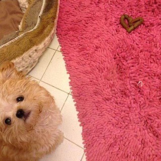 Логотип @fancy_iron - Розовый паяльник