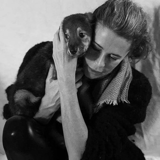 Логотип @fanderafandera - Фандера