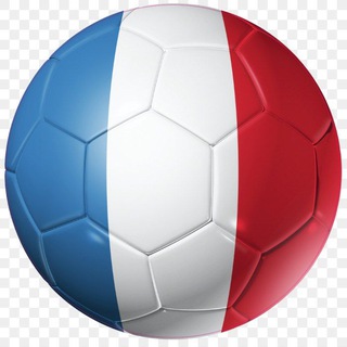 Логотип @fansfiles_ligue1 - Фан файл ⚽️ Лига 1 🇫🇷