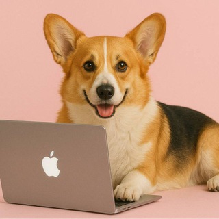 Логотип @fanslyfromcorgi - Fansly заметки от Коржика