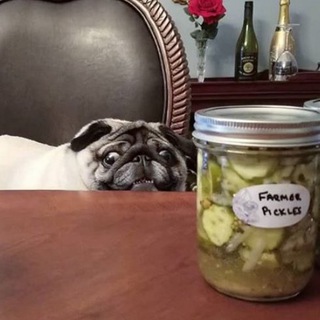 Логотип @fantadig - Fan ta dig