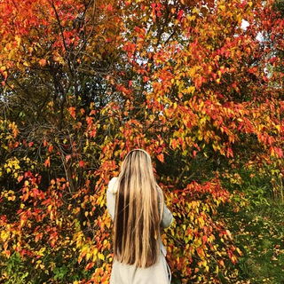 Логотип @fanyi - Дудка по-пекински