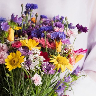 Логотип @farbenliebenleben - FARBENliebenLEBEN