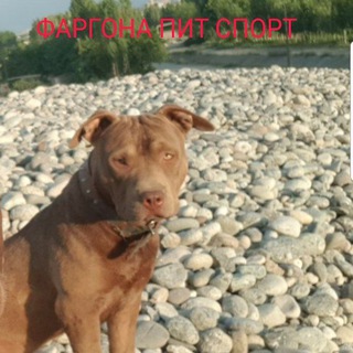 Логотип @fargonapitsporti - ФАРГОНА ПИТ СПОРТ