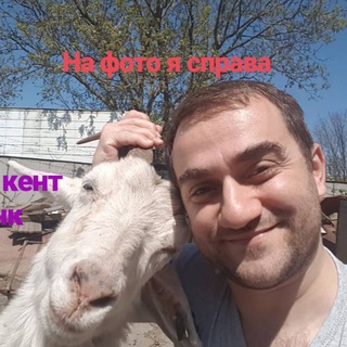 Логотип @faridstudent - Человек-Канцтовар