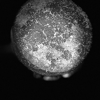 Логотип @farm_blackfox - Молочная ферма «Черный лис»