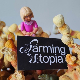 Логотип @farming_utopia - farming utopia