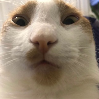 Логотип @farr_duchovny - ФАРР