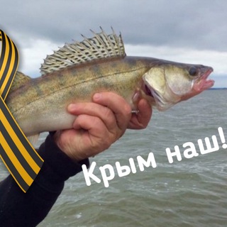 Логотип @farshsudak - Фаршированный судак