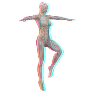 Логотип @fascial_fitness2 - канал ФАСЦИАЛЬНЫЙ ФИТНЕС 2.0