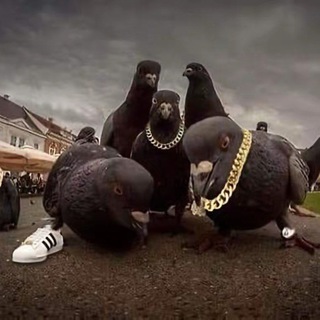 Логотип @fashion_dolboeb - ‡