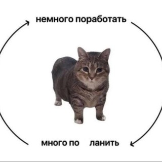 Логотип @fashion_metropolis - Гид