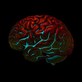 Логотип @fashionretail - Ритейл головного мозга