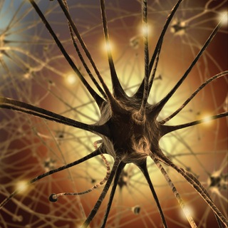 Логотип @fastmodeling - Мастерская быстрых результатов (обсуждения)