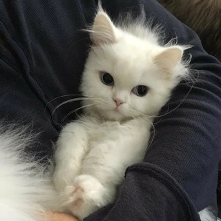 Логотип @fastyrun - 666173747972756E