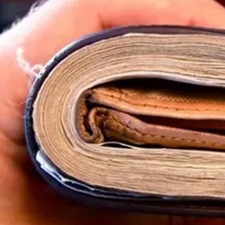 Логотип @fat_wallett - Толстый кошелек 💶