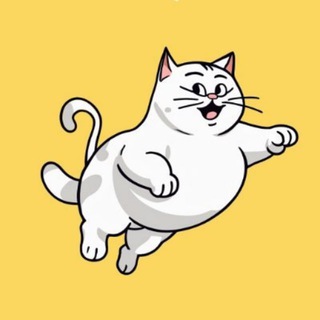 Логотип @fatcatssol - FatCat