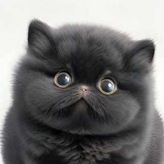 Логотип @fatfurcat - Мягкий кот