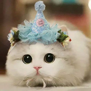 Логотип @fatsjdnjzns - Продажа покупки )