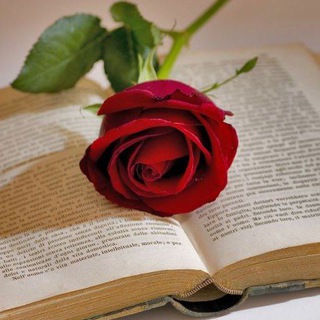 Логотип @favoriteliterature - FAVORITE LITERATURE/Любимая литература