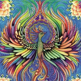 Логотип @favoritemashrooms - Favorite mushroom music🥰🥰🥰😘😘😘❤️❤️❤️🍄🍄🍄