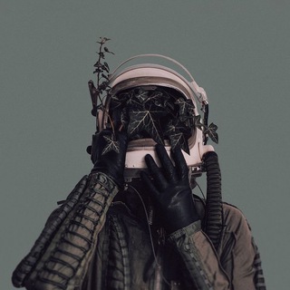 Логотип @fawaidlife - Мысли странника