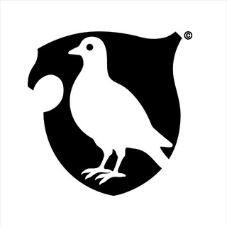 Логотип @fawofawo - FAWO