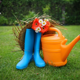 Логотип @fazenda62 - Рязанская дача