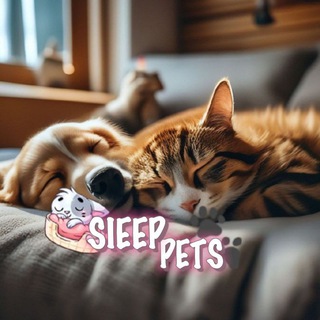 Логотип @fb_ot_marsa - 𝑺𝑳𝑬𝑬𝑷 𝑷𝑬𝑻𝑺🐾😴