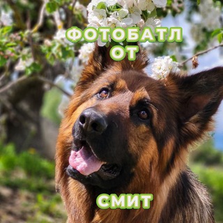 Логотип @fb_smith - Фотобатлы и конкурсы от Смит