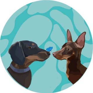 Логотип @fbfordogcat - жизнь двух грибожуйчиков 💕