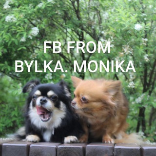 Логотип @fbglashazordan - Фотобатлы от Булки/Моники