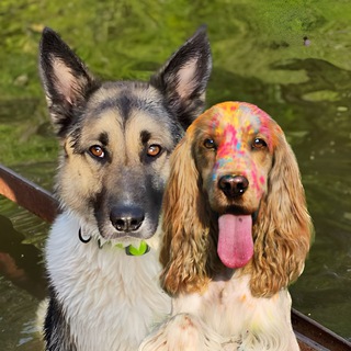 Логотип @fbmalysh - MalyshSamFb