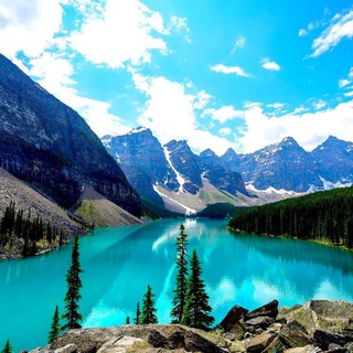 Логотип @fbskchat - Pankart Sokağı