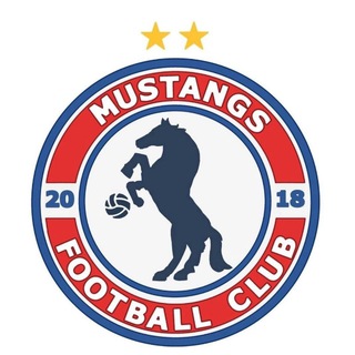 Логотип @fcmustangs2018 - ФК «МУСТАНГИ» ❄️