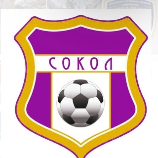 Логотип @fcsokol27 - Подразделение «Сокол» ГБУ ДО «Московская футбольная академия»